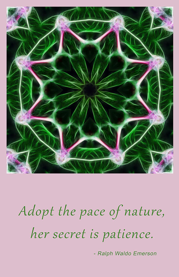 Pace of Nature Digital Art by Beth Sawickie