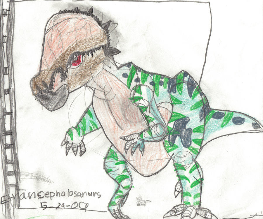 Pachycephalosaurus Drawing by Fred Hanna Fine Art America