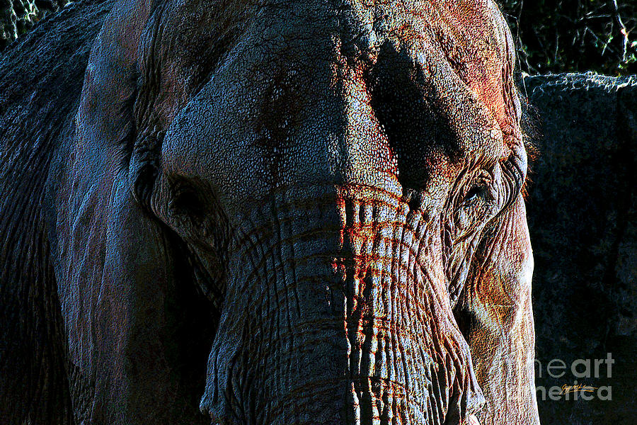Elephant Digital Art - Pachyderm Tone by Jeff McJunkin
