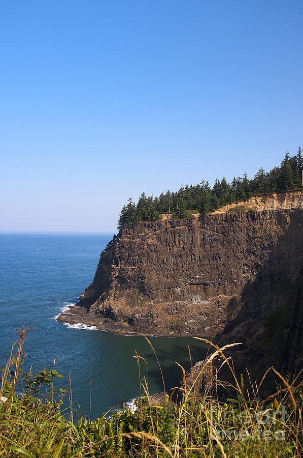 Pacific Cliffs Photograph by Brenda Kean