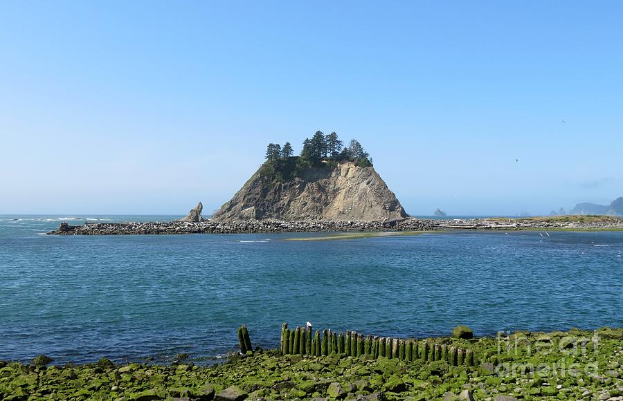 Pacific Coast at La Push Photograph by Gayle Swigart