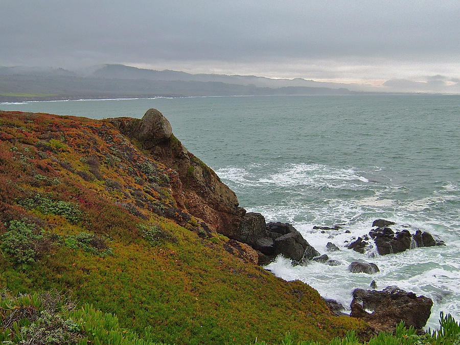 Pacific Coast Colors Photograph by Susan Wyman - Fine Art America