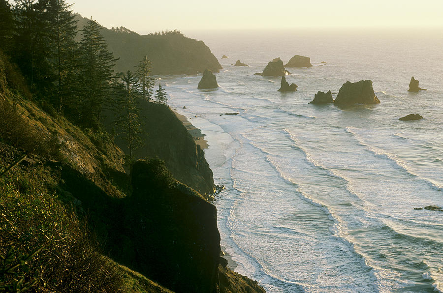 Pacific Coast Photograph by Earl Roberge