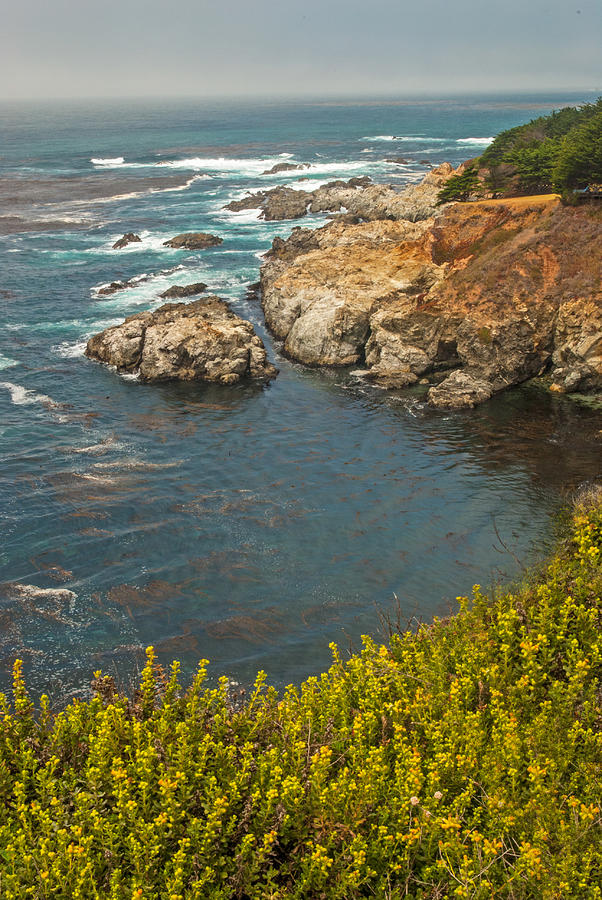 Pacific Coast Highway Views Photograph by Willie Harper