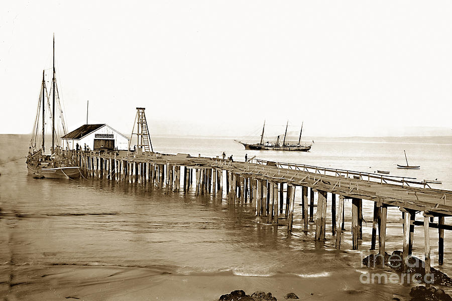 Pier Photograph - Pacific Coast Steamship Co. Wharf Monterey circa 1880 by Monterey County Historical Society