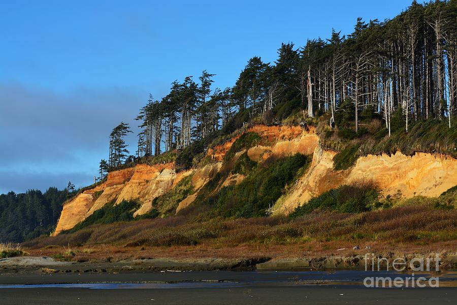 Pacific Coastline Photograph by Gayle Swigart