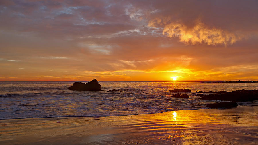 Pacific Edge Laguna Beach Photograph by Cliff Wassmann