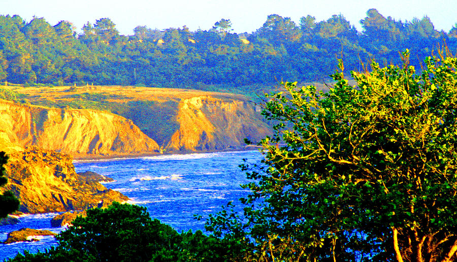 Pacific Ocean Coast View Photograph by Joseph Coulombe