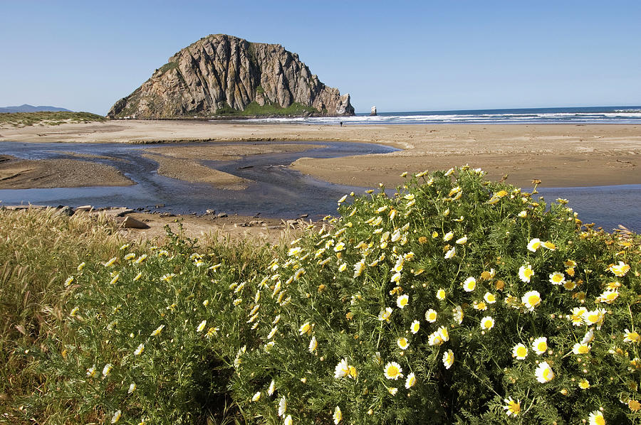 Pacific Ocean Landscape With Morro Rock Photograph by John Elk