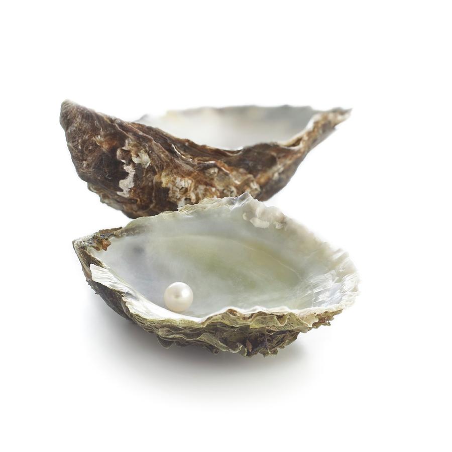 Pacific Oyster Shell And Pearl Photograph by Science Photo Library ...