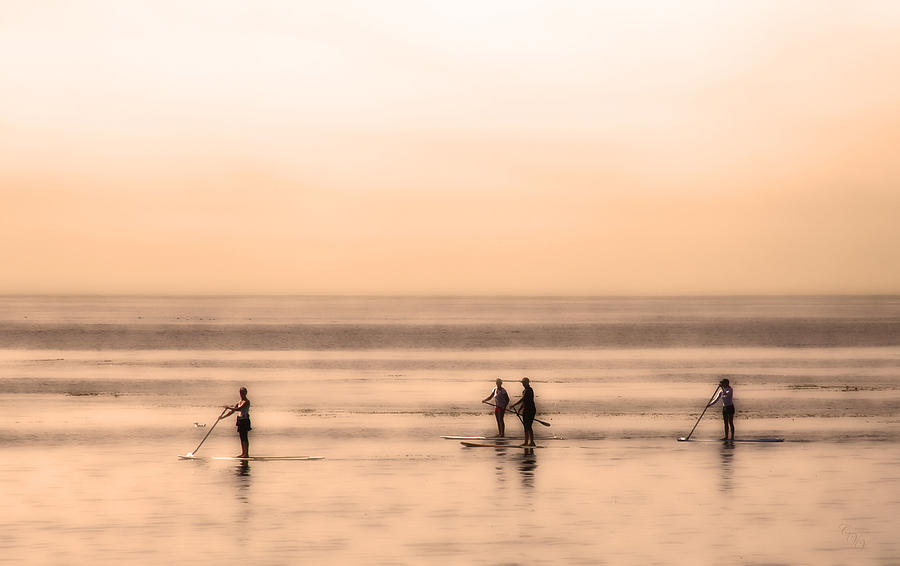 Sports Photograph - Pacific Paddlers by Clare VanderVeen