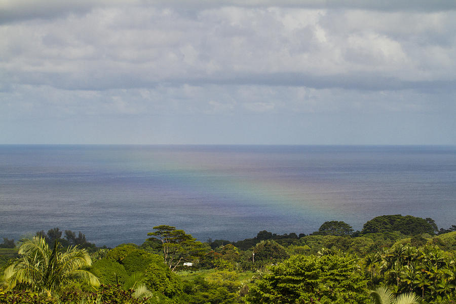 Pacific Rainbow Photograph