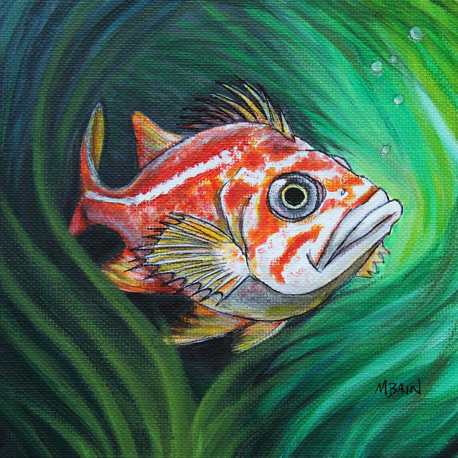 Fish Painting - Pacific Rockfish by Melissa Bain