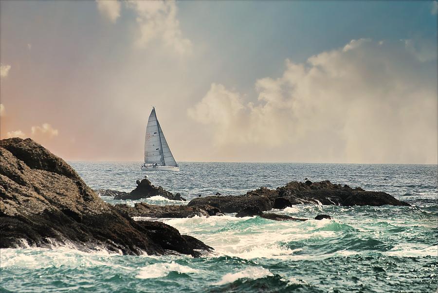 Pacific Sail Photograph by Diana Angstadt