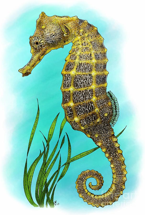 Seahorse Photograph - Pacific Seahorse by Roger Hall
