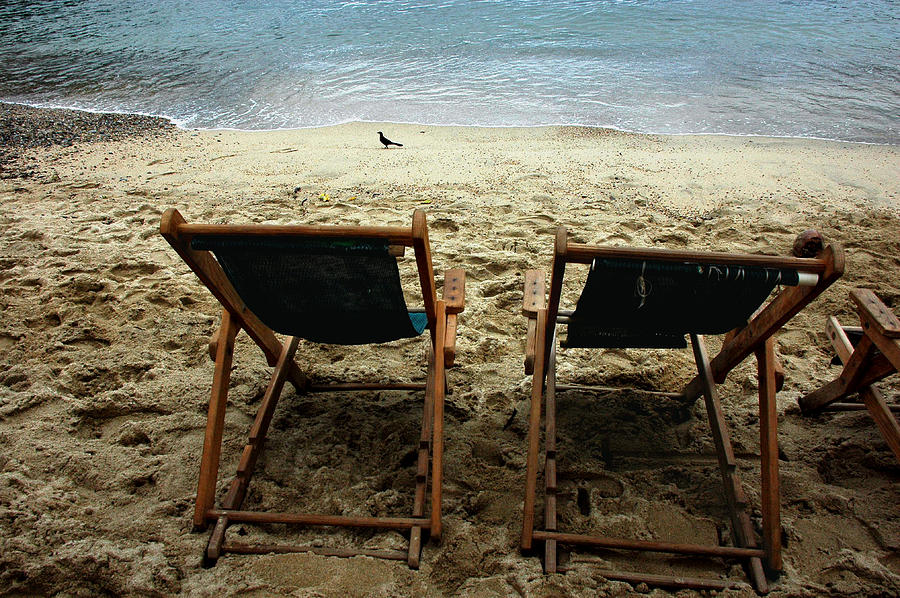 Beach Chairs For Two And A Bird Digital Art by Pamela Smale Williams