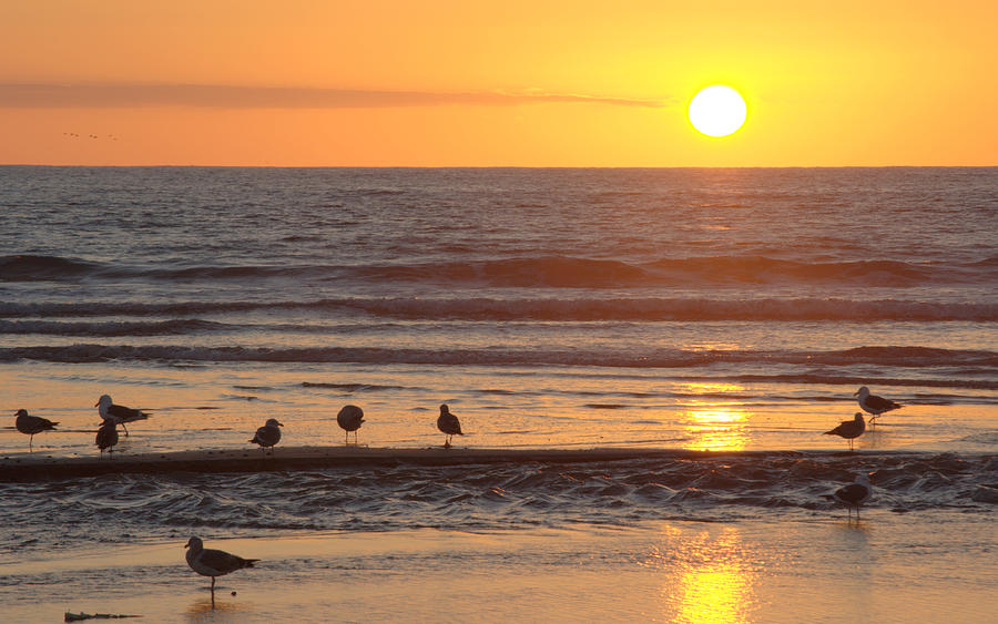 Pacific Sunset Photograph by AJ  Schibig