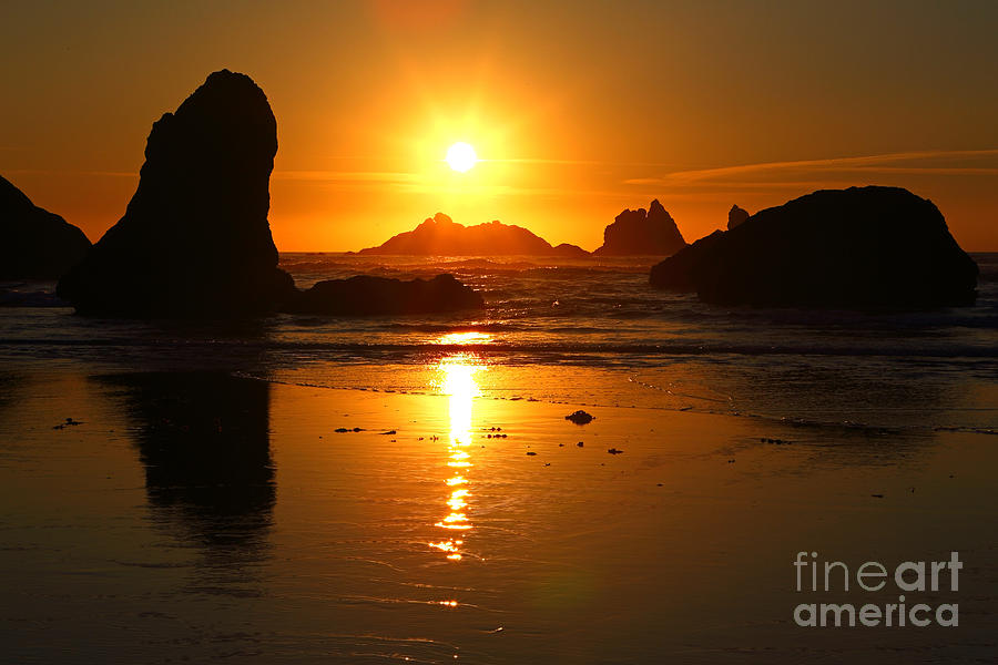 Pacific Sunset Photograph by Bill Singleton