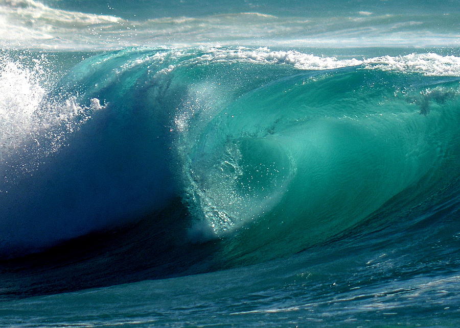 Pacific Wave Photograph by Lori Seaman