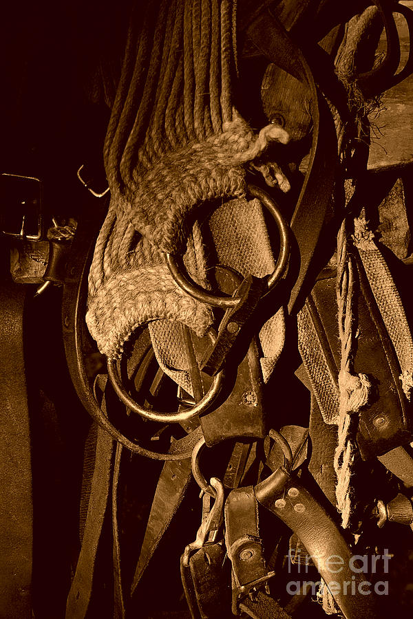 Pack Horse Tack Photograph by J L Woody Wooden