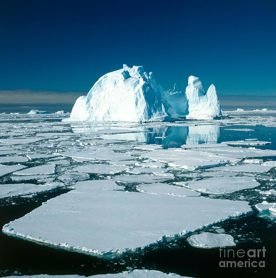Pack Ice & Icebergs Photograph by Gregory G. Dimijian, M.D.