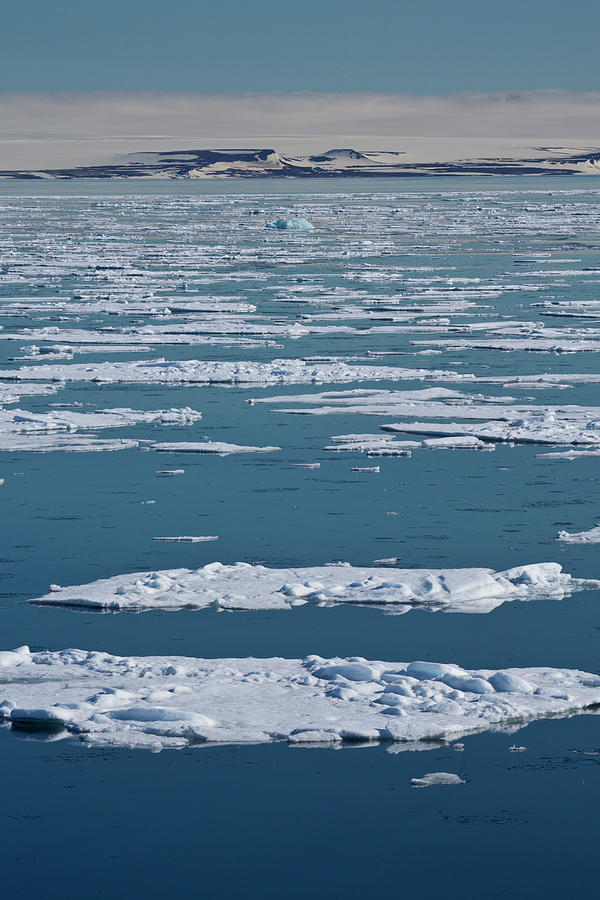 Pack Ice Arctic Ocean Photograph by Darrell Gulin