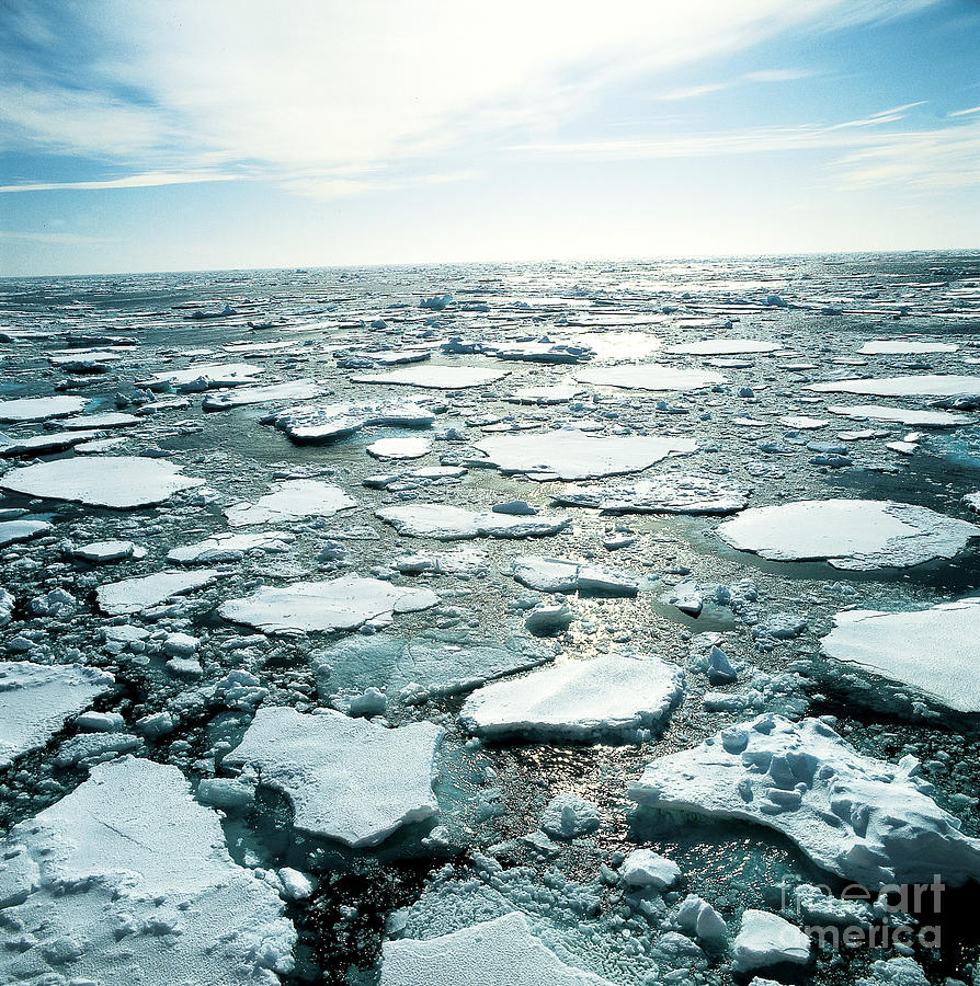 Pack Ice In The Ross Sea Of Antarctica Photograph by Gregory G. Dimijian, M.D.