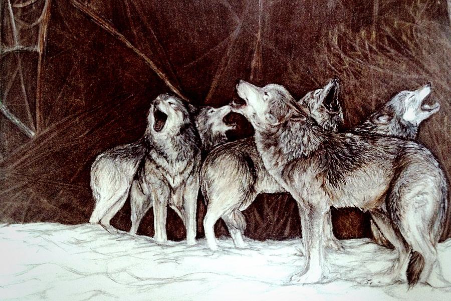 Pack Of Wolves Drawing by Nancy Cooper