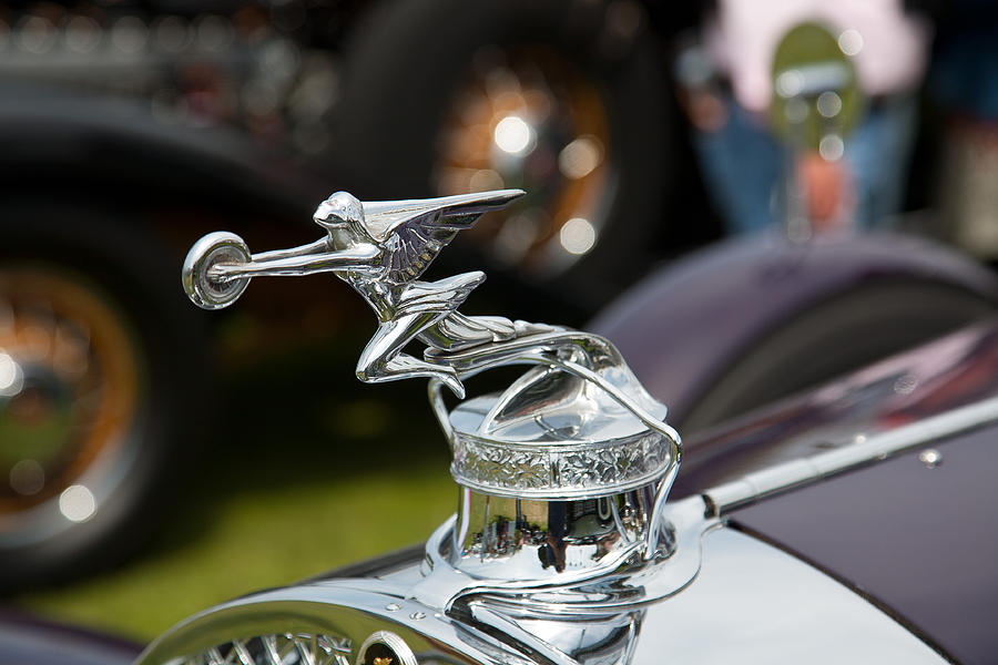 Packard Hood Ornament Photograph by Peter Tellone