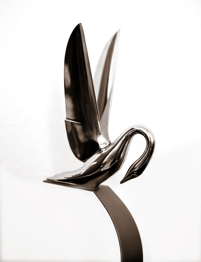 Swan Photograph - Packard Swan Hood Ornament 1 by Marilyn Hunt