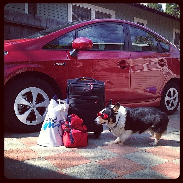Yosemite National Park Photograph - Packed Ready For A Road Trip! Yosemite by Corgiworkshop Heck