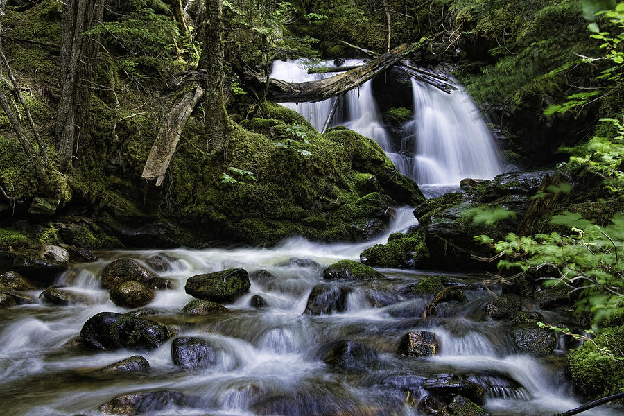 Packer Falls and Creek Photograph by Paul DeRocker