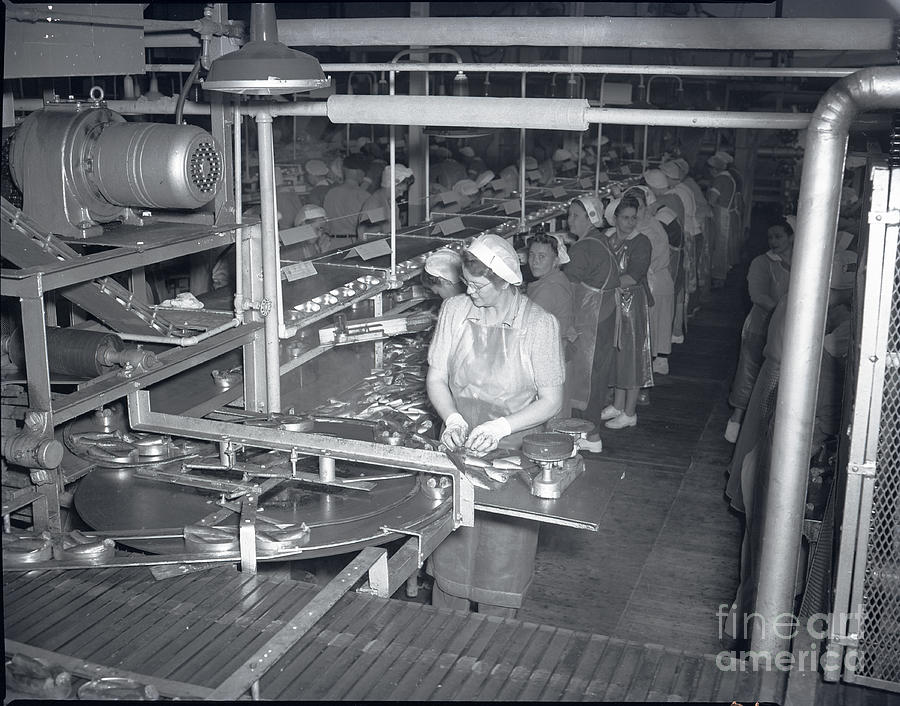 Interior Photograph - Packing line Cannery Row Monterey circa 1948 by Monterey County Historical Society