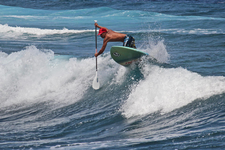 Sports Photograph - Paddle Surfing in Hawaii by Venetia Featherstone-Witty
