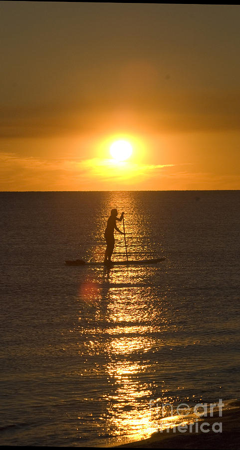 Sunset Photograph - Paddleboarder by Jim Wright