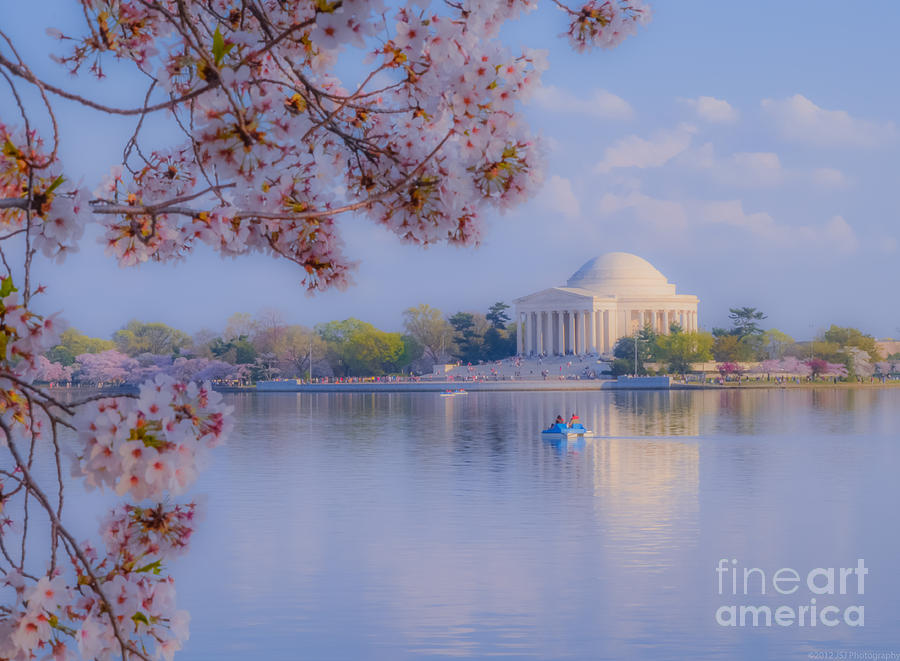 Paddling Past the Blossoms on the Basin Photograph by Jeff at JSJ Photography
