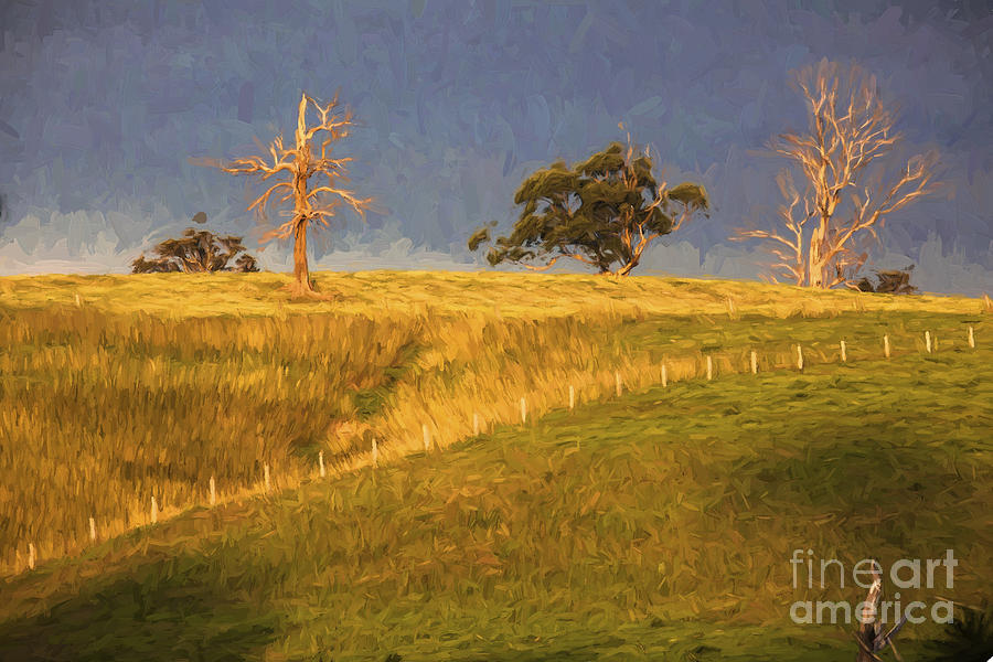 Sunset Photograph - Paddock with dead trees at sunset by Sheila Smart Fine Art Photography