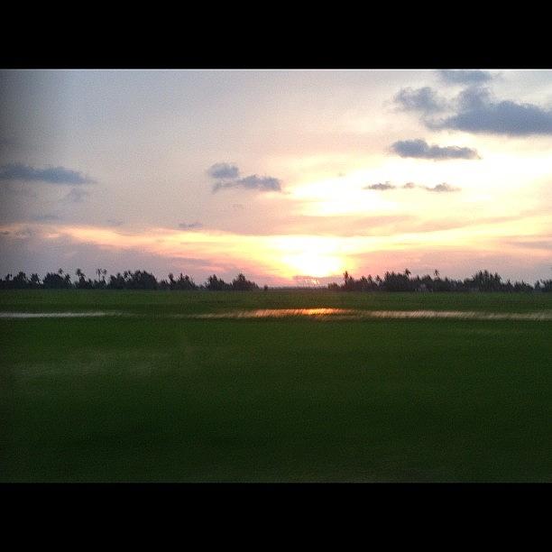 Scenery Photograph - Paddy Field And Sunset-unedited #scenery by Kuyah Kriah