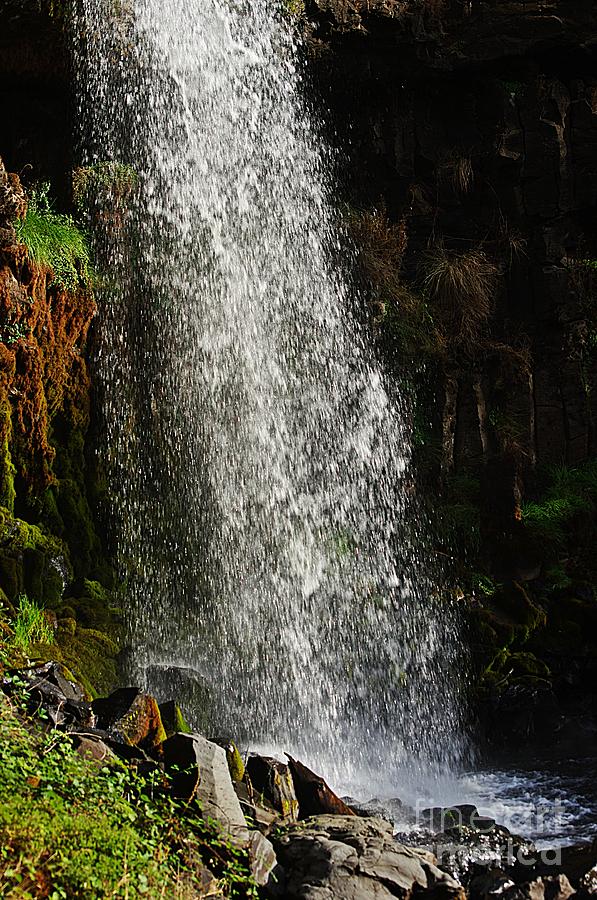 Paddys River Waterfall Photograph by Blair Stuart