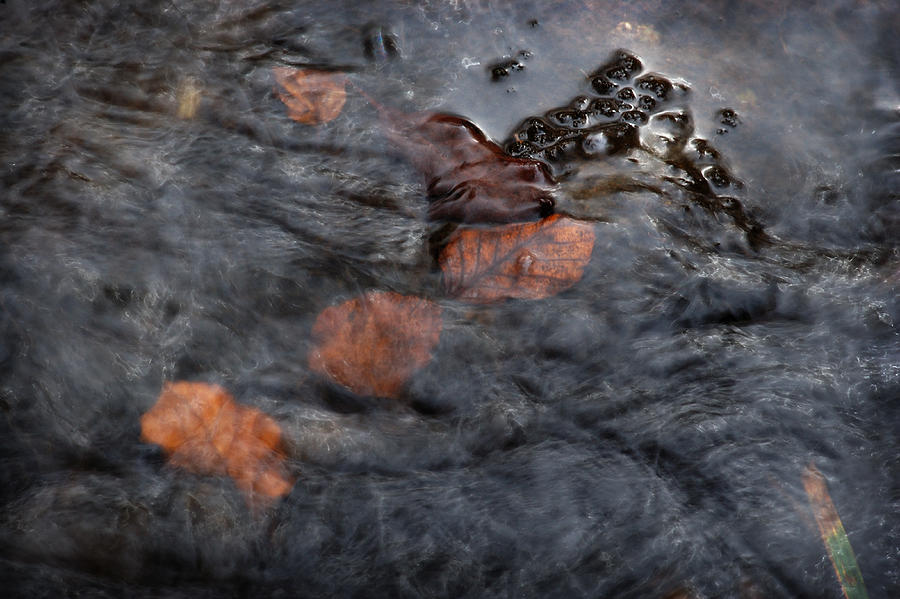 Padley Gorge Photograph by Jerry Daniel