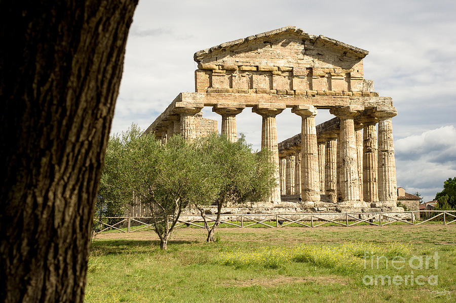 Greek Photograph - Paestum Temple by Prints of Italy