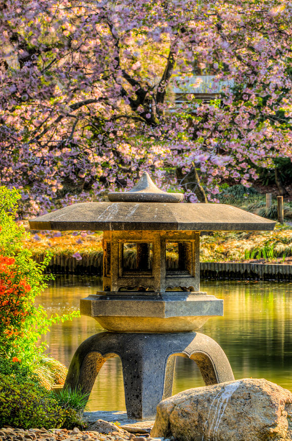Nature Photograph - Pagoda and the Yoshino Cherry Tree by Dave Hahn