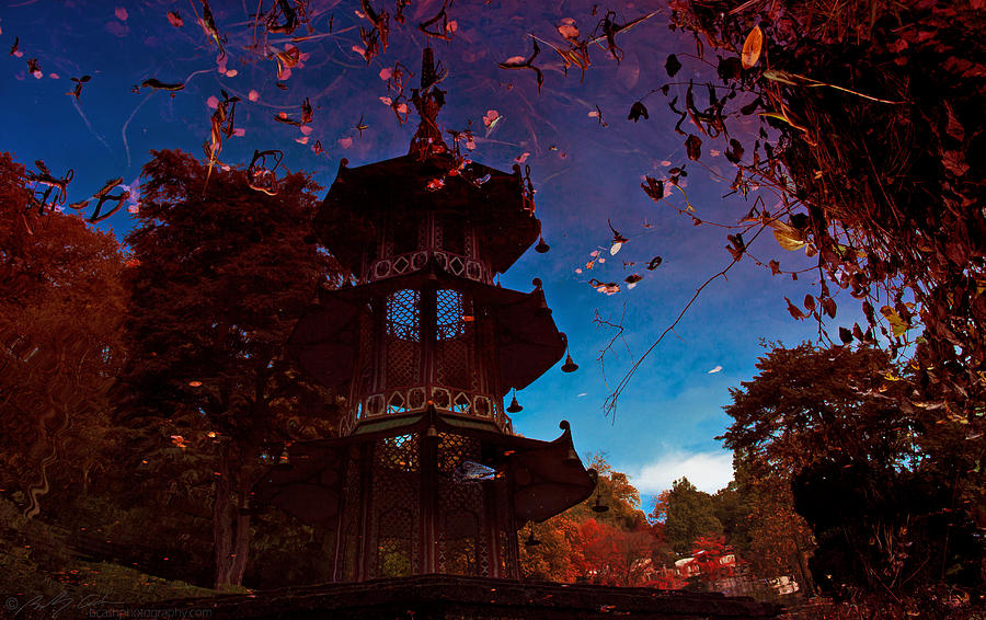 Pagoda Reflection Photograph by B Cash