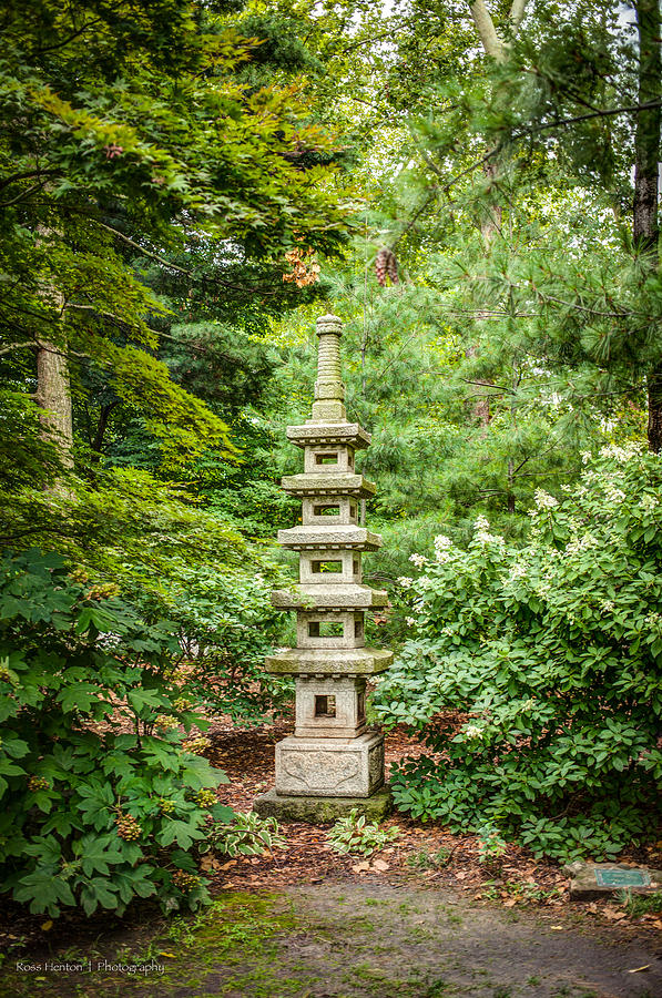Pagoda Photograph by Ross Henton
