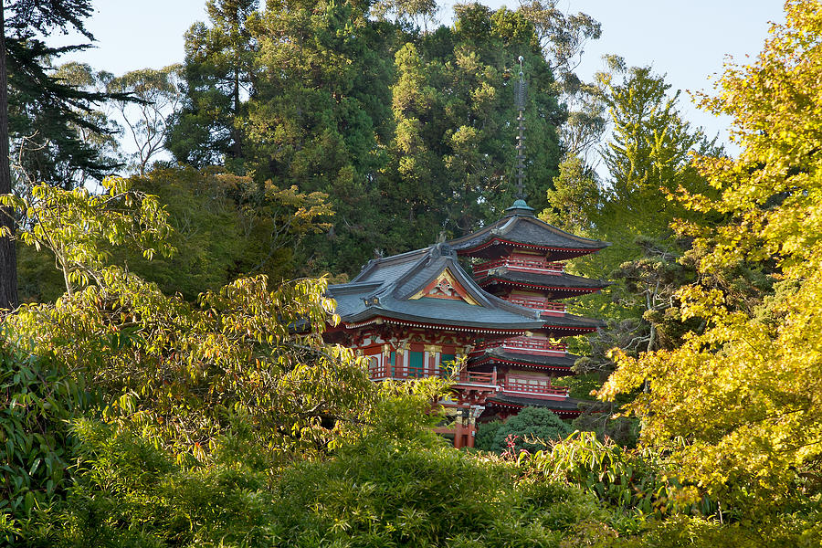 Pagodas in San Francisco Japanese Garden Photograph by Jit Lim - Fine ...