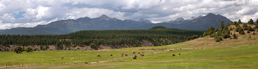 Pagosa Peak in Pagosa Springs, CO Photograph by Mark Langford