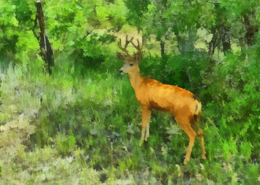 Pagosa Springs Treasure on the side of the road Digital Art by Carrie OBrien Sibley