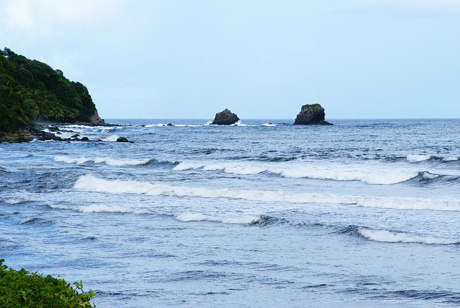 Pagua Bay Photograph by Giftus John - Fine Art America