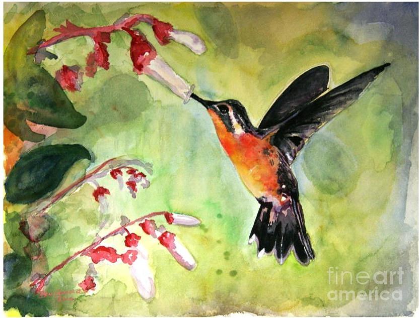 Hummingbird Painting - Paiges Hummingbird by Bev Arnold