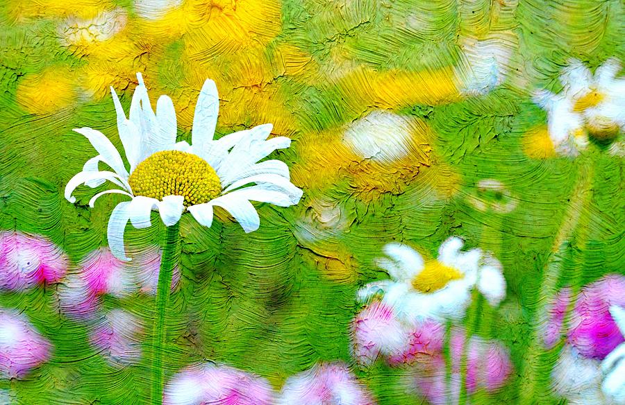 Flower Photograph - Paint a Garden by Diana Angstadt